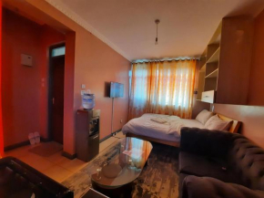 Pine Residency w Secure Parking, Wifi, Netflix & Rooftop Views